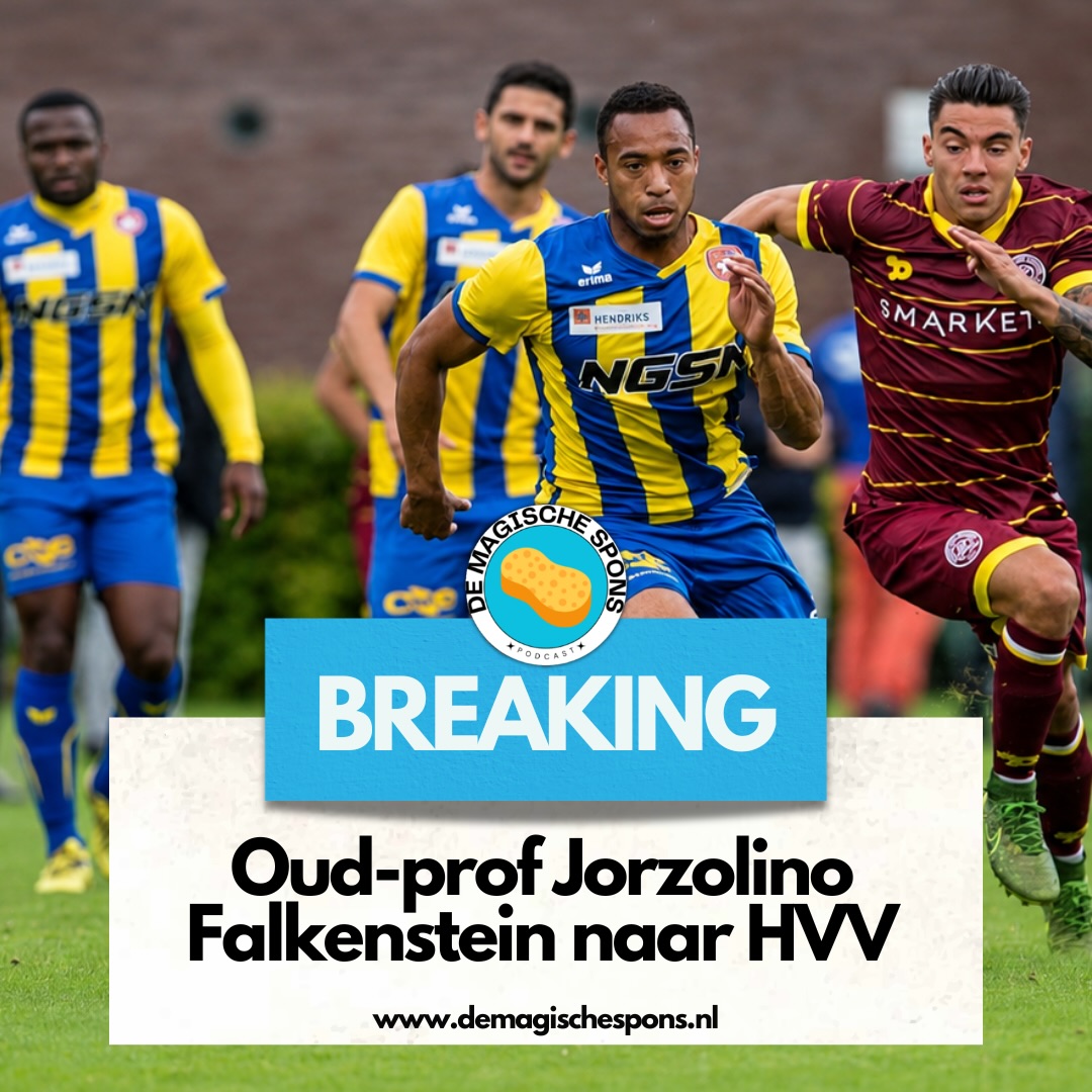 HVV heeft zich versterkt met de ervaren aanvaller Jorzolino Falkenstein. De...